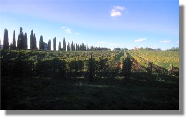 Poggio alla Sala