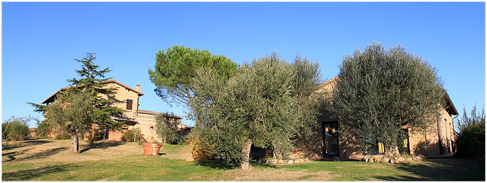 Agriturismo Casa Picchiata -- Val d'Orcia - Pienza - Tuscany