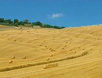 Colline Agriturismo Siena Toscana